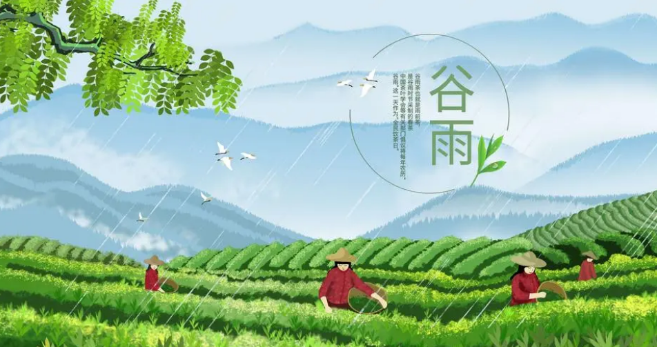 谷雨的寓意与象征